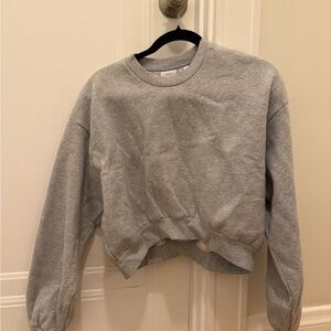 Ariztia Gray Cropped Sweatshirt